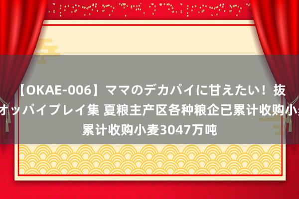 【OKAE-006】ママのデカパイに甘えたい！抜かれたい！オッパイプレイ集 夏粮主产区各种粮企已累计收购小麦3047万吨