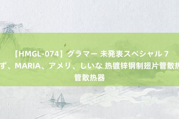 【HMGL-074】グラマー 未発表スペシャル 7 ゆず、MARIA、アメリ、しいな 热镀锌钢制翅片管散热器