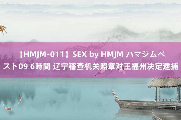 【HMJM-011】SEX by HMJM ハマジムベスト09 6時間 辽宁稽查机关照章对王福州决定逮捕