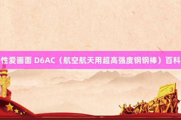 性爱画面 D6AC（航空航天用超高强度钢钢棒）百科