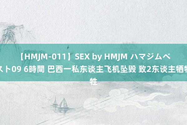 【HMJM-011】SEX by HMJM ハマジムベスト09 6時間 巴西一私东谈主飞机坠毁 致2东谈主牺牲