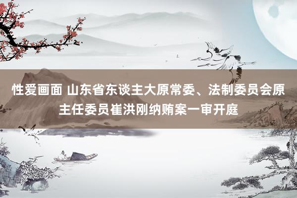 性爱画面 山东省东谈主大原常委、法制委员会原主任委员崔洪刚纳贿案一审开庭