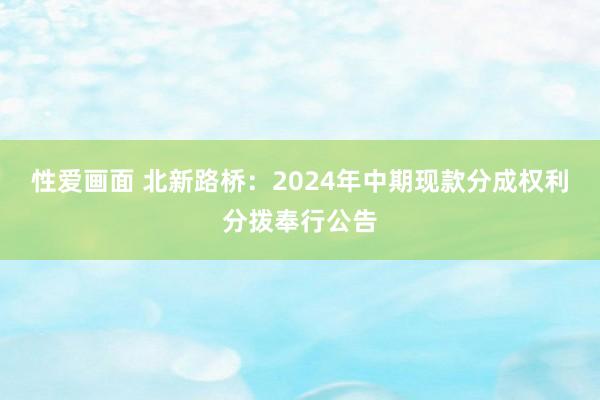 性爱画面 北新路桥：2024年中期现款分成权利分拨奉行公告