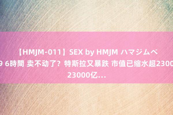 【HMJM-011】SEX by HMJM ハマジムベスト09 6時間 卖不动了？特斯拉又暴跌 市值已缩水超23000亿…