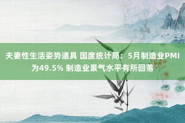 夫妻性生活姿势道具 国度统计局：5月制造业PMI为49.5% 制造业景气水平有所回落