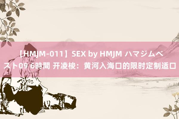 【HMJM-011】SEX by HMJM ハマジムベスト09 6時間 开凌梭：黄河入海口的限时定制适口