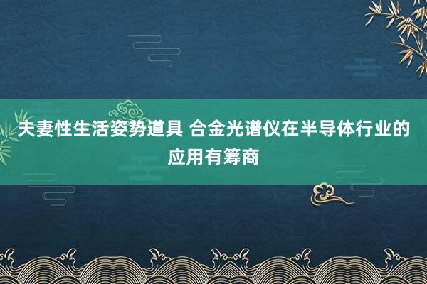 夫妻性生活姿势道具 合金光谱仪在半导体行业的应用有筹商