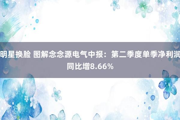 明星换脸 图解念念源电气中报：第二季度单季净利润同比增8.66%