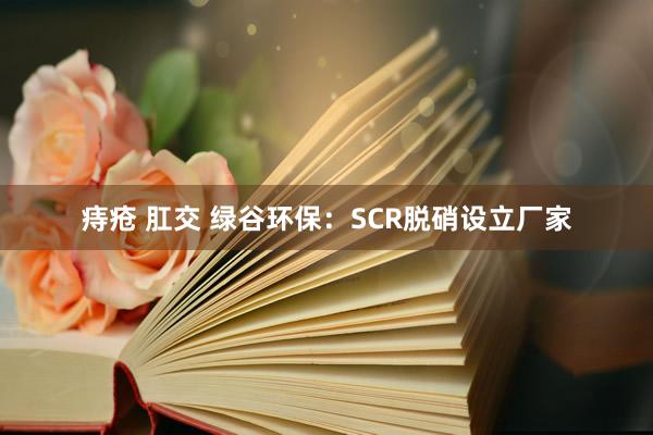 痔疮 肛交 绿谷环保：SCR脱硝设立厂家