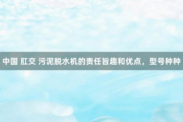 中国 肛交 污泥脱水机的责任旨趣和优点，型号种种