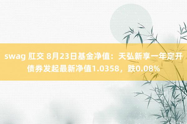 swag 肛交 8月23日基金净值：天弘新享一年定开债券发起最新净值1.0358，跌0.08%