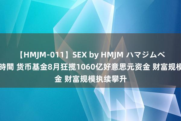 【HMJM-011】SEX by HMJM ハマジムベスト09 6時間 货币基金8月狂揽1060亿好意思元资金 财富规模执续攀升