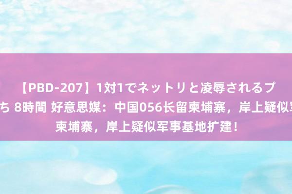 【PBD-207】1対1でネットリと凌辱されるプレミア女優たち 8時間 好意思媒：中国056长留柬埔寨，岸上疑似军事基地扩建！