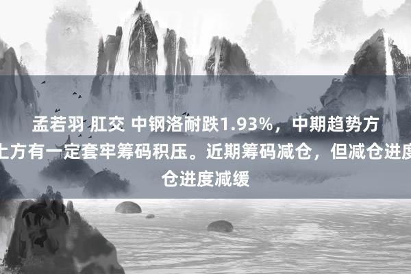 孟若羽 肛交 中钢洛耐跌1.93%，中期趋势方面，上方有一定套牢筹码积压。近期筹码减仓，但减仓进度减缓