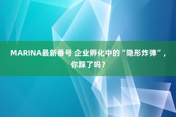 MARINA最新番号 企业孵化中的“隐形炸弹”，你踩了吗？