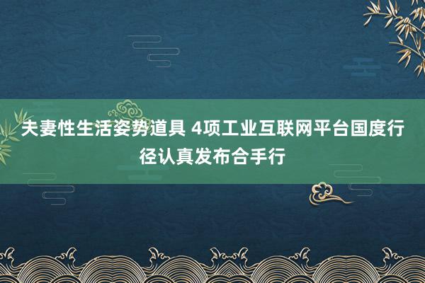 夫妻性生活姿势道具 4项工业互联网平台国度行径认真发布合手行