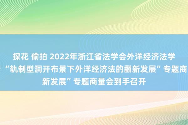 探花 偷拍 2022年浙江省法学会外洋经济法学策划会年会暨 “轨制型洞开布景下外洋经济法的翻新发展”专题商量会到手召开