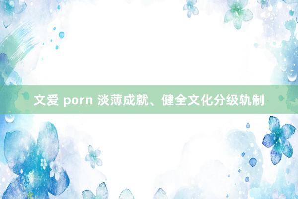 文爱 porn 淡薄成就、健全文化分级轨制