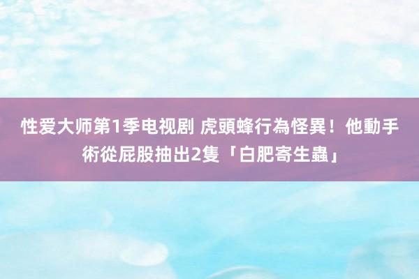 性爱大师第1季电视剧 虎頭蜂行為怪異！　他動手術從屁股抽出2隻「白肥寄生蟲」