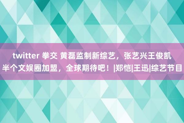 twitter 拳交 黄磊监制新综艺，张艺兴王俊凯半个文娱圈加盟，全球期待吧！|郑恺|王迅|综艺节目